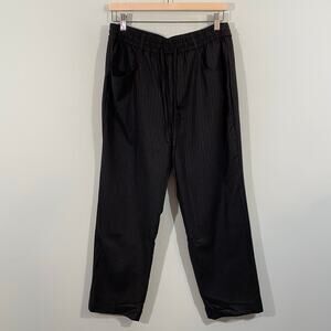 Zara Women Grey Pinstripe Pull On Elastic Waist Straight Leg Pant Sz 8 #7563/244